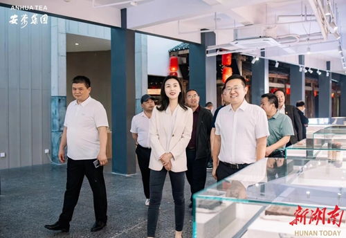 永定區(qū)工商聯(lián)推動(dòng)民企‘走出去，請(qǐng)進(jìn)來(lái)’，助力經(jīng)濟(jì)與文化雙騰飛